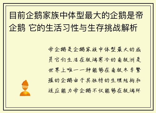 目前企鹅家族中体型最大的企鹅是帝企鹅 它的生活习性与生存挑战解析 目前企鹅家族中体型最大的企鹅是帝企鹅 它的生活习性与生存挑战解析